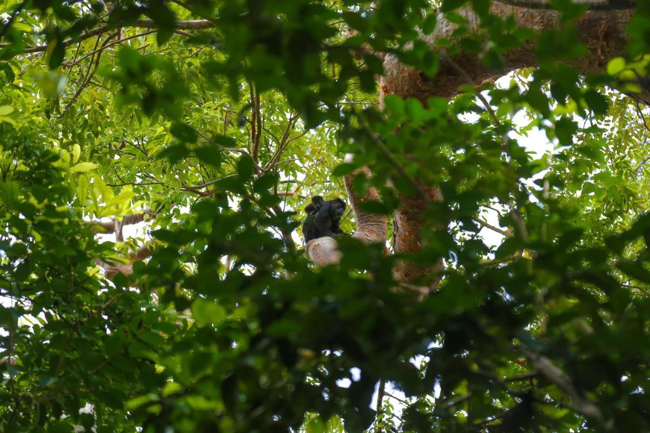 Hotel Isla Palma Reserva Natural Extérieur photo